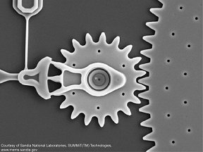 Simulations in tribology 